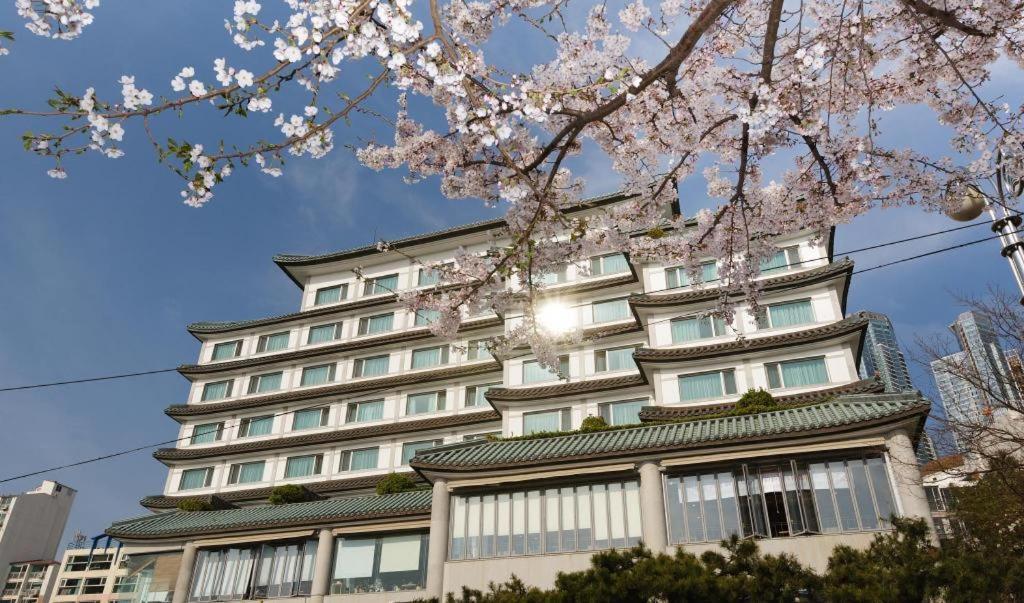 Hotel Illua Busan Ngoại thất bức ảnh